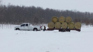 Hauling Hay February 2014
